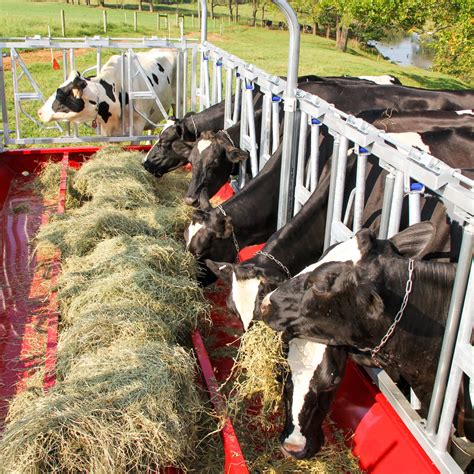 No Waste Hay Feeders for Cattle - Farmco