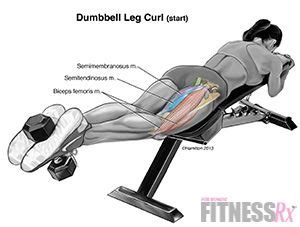 How To Do Leg Curls At Home Without A Machine | Home and Garden Reference