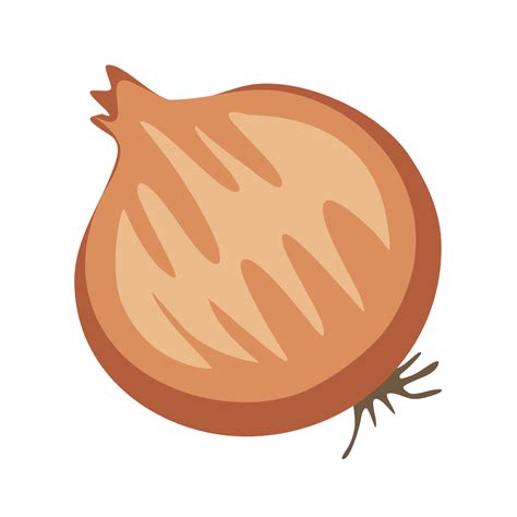 Cartoon Onion Png