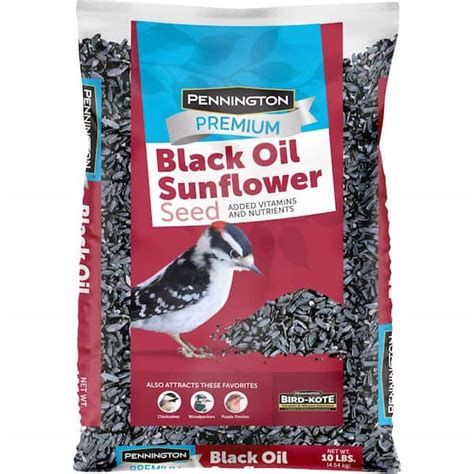 Pennington Premium 10 Lb Black Oil Sunflower Bird Seed Food 100542055 The Home Depot