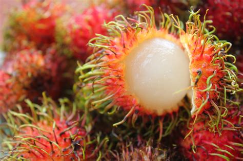 Rambutan Fruit Food From The Philippines