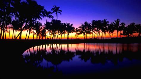 Tropical Sunrise Wallpapers - Top Free Tropical Sunrise Backgrounds - WallpaperAccess