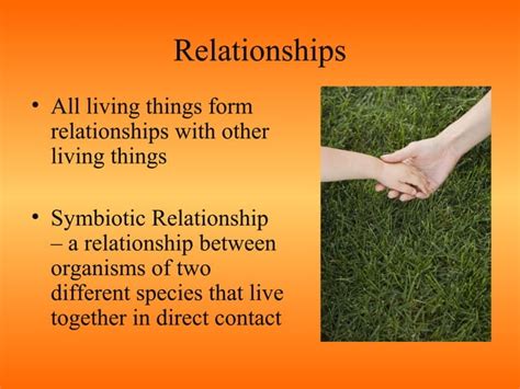 Principles Of Ecology Ppt