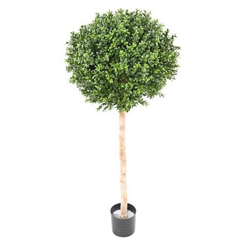 Buis Boule Artificiel H 170 Cm D 60 Cm Tronc Naturel Int Ext En Pot