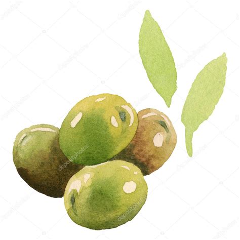 Aceitunas Frescas Con Hojas Verdes Aisladas Sobre Elementos De