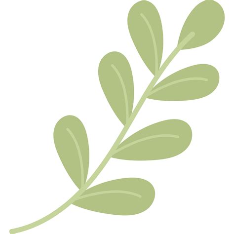 Branch With Leaves 18107587 PNG