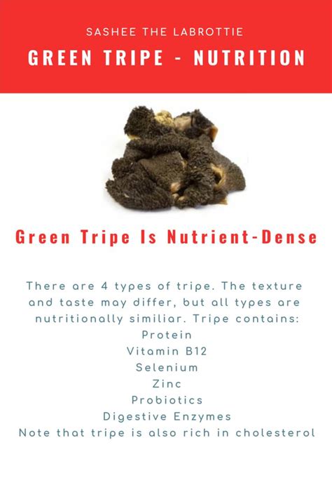 Green Tripe, Nutrition | Dog raw diet, Green tripe, Dog diet