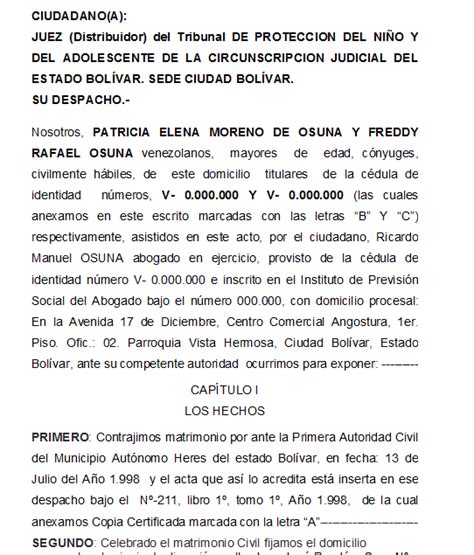 Modelo De Demanda De Divorcio De Mutuo Acuerdo Sin Hijos Y Con Hot