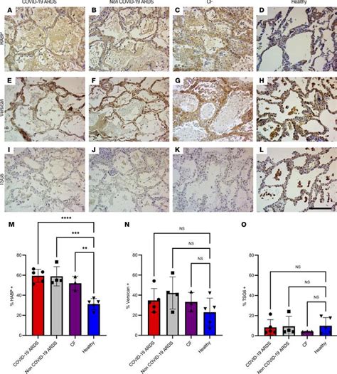 JCI Insight Biochemical Biophysical And Immunological