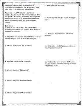 Dna Replication Mistakes And Their Repair Mutation By Biology Buff