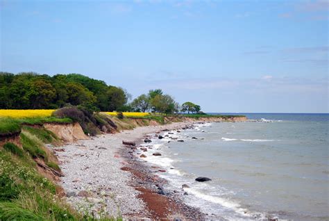 Happy Travelling: Fehmarn, Germany. The island of rabbits and yellow ...