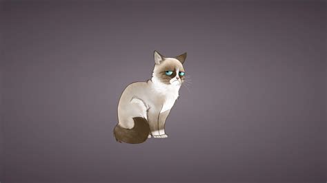 Grumpy Cat Wallpapers - Wallpaper Cave