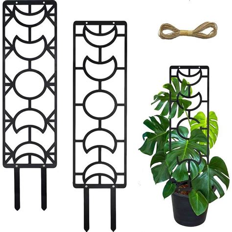 2x Treillis métallique pour plantes grimpantes 19 Treillis pour