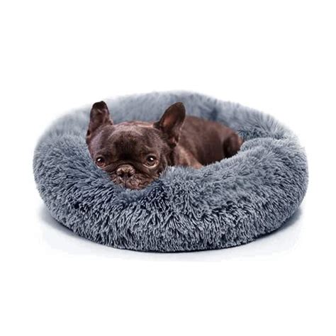 Small Dog Bed Calming Dogs Bed for Small Dogs Anti-Anxiety Puppy Bed ...