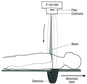 COMPULSORY required for IRMER: Advanced OMFS Radiology (Max-fax ...