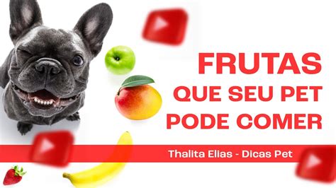 7 FRUTAS QUE SEU PET PODE COMER e seus benefícios dicaspet YouTube