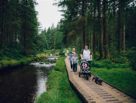 Woodland Walks In Wales Through The Seasons Visit Wales