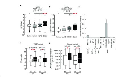 LINC00460 High Expression Is Associated With Aggressive Phenotypes In