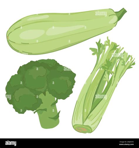 Vector Green Vegetables In Flat Style Broccoli Zucchini And A Bunch