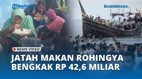 Aceh Kebanjiran Pengungsi Rohingya Jatah Makan Bengkak Rp 42 6 Miliar