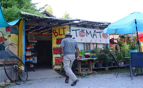 The Tomato Place A Mississippi Treasure Vicksburg Daily News