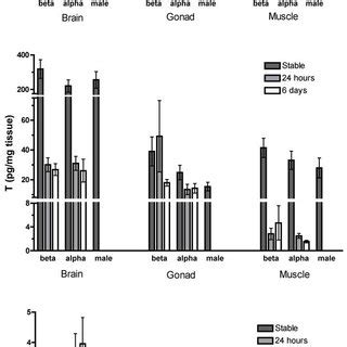 Steroid Concentrations In Sex Changing Groups Concentrations Of