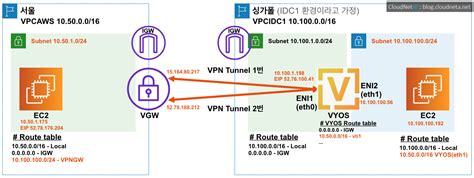aws vpn site  site  dynamic route cloudnet