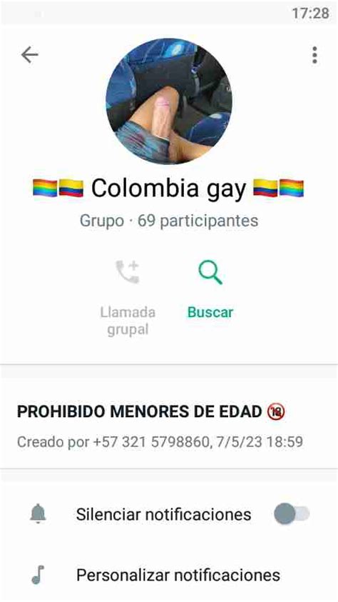 Grupos GAY De WhatsApp 26 GAY Groups In WhatsApp Guia GAY