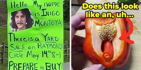 Funny Pictures That Make You Laugh Out Loud