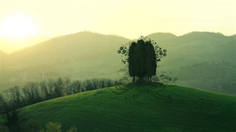 Mountain tree wallpaper - HD Wallpapers