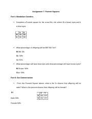 Punnett Squares Assignment Docx Assignment 7 Punnett Squares Part I