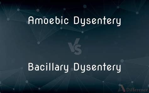 Amoebic Dysentery vs. Bacillary Dysentery — What’s the Difference?