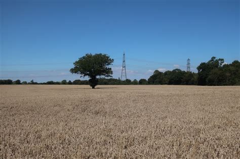 Field By Beauchamp S Wood Hugh Venables Cc By Sa Geograph