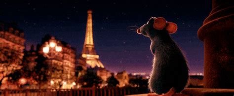 France Paris GIF - Find & Share on GIPHY