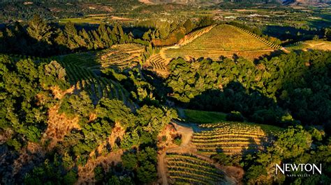 Inside Napa Valleys Iconic Mountain Wines