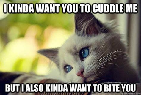 20 Cutest Cuddle Memes | Cute animal memes, Funny cats, dogs, Funny animals