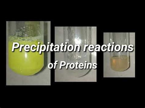 Precipitation Reactions Of Proteins Biochemistry Youtube