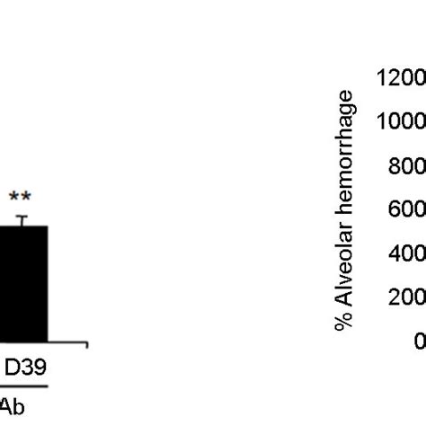 Pulmonary Neutralization Of Il 1β Inhibited Pneumococcal Ali And Death