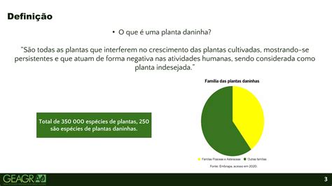 Manejo De Plantas Daninhas Na Soja PPT