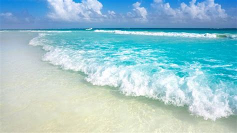 Best Playa Del Carmen Beaches To Visit In Yunglava