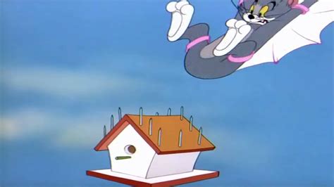 Tom And Jerry Flying