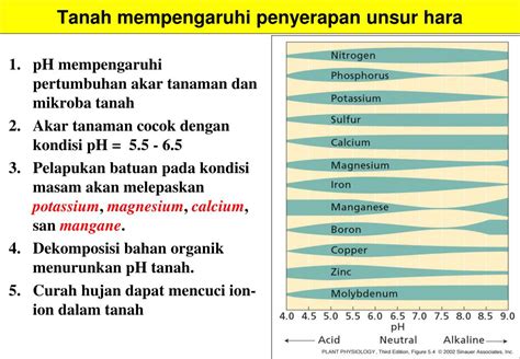 Ppt Mk Dasar Ilmu Tanah Hubungan Tanah Unsur Hara Tanaman Smno