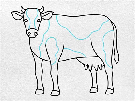 Easy Dairy Cow Drawing - HelloArtsy