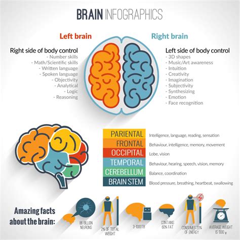 Difference Between Dementia And Vascular Dementia Pulptastic