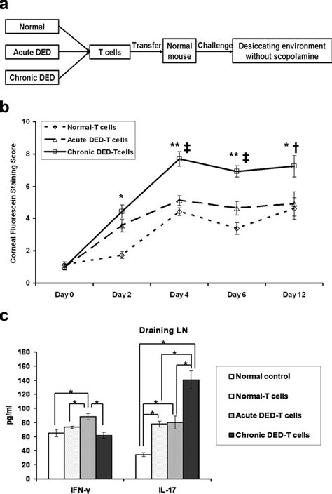 T Cells From Chronic Dry Eye Disease Ded Mice Induce The Most Severe Download Scientific