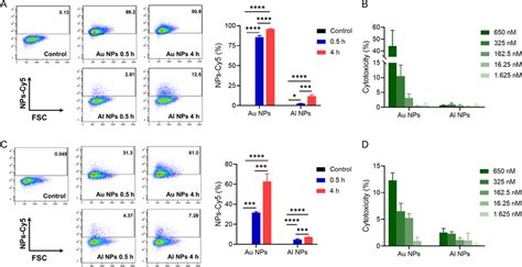 Cellular Uptake And Cytotoxicity Of Nanoparticles A Representative