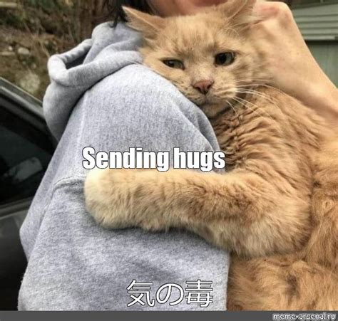 Meme: "Sending hugs" - All Templates - Meme-arsenal.com