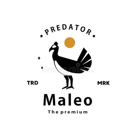 Maleo Logo Vector Silhouette Art Icon Stock Vector - Illustration of ...