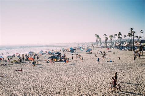 Free Images Sea Coast Sand Ocean Boardwalk Palm Tree Shore