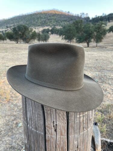 Vintage Stetson Suede Fedora Gem